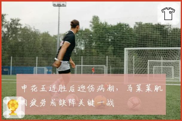 申花五连胜后迎伤病潮，马莱莱肌肉疲劳或缺阵关键一战