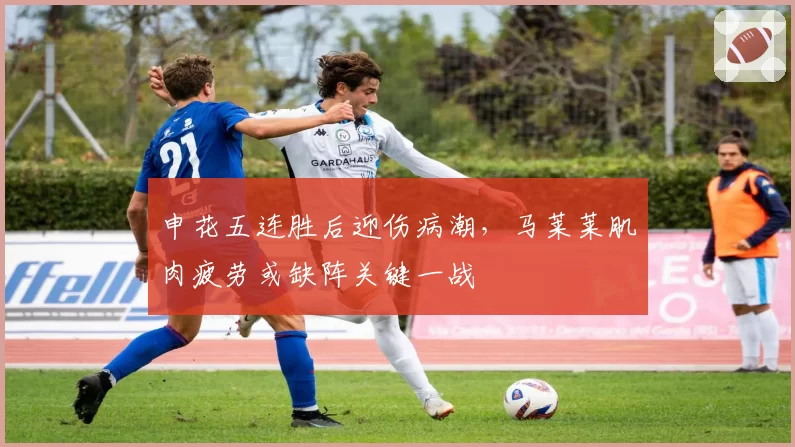申花五连胜后迎伤病潮，马莱莱肌肉疲劳或缺阵关键一战